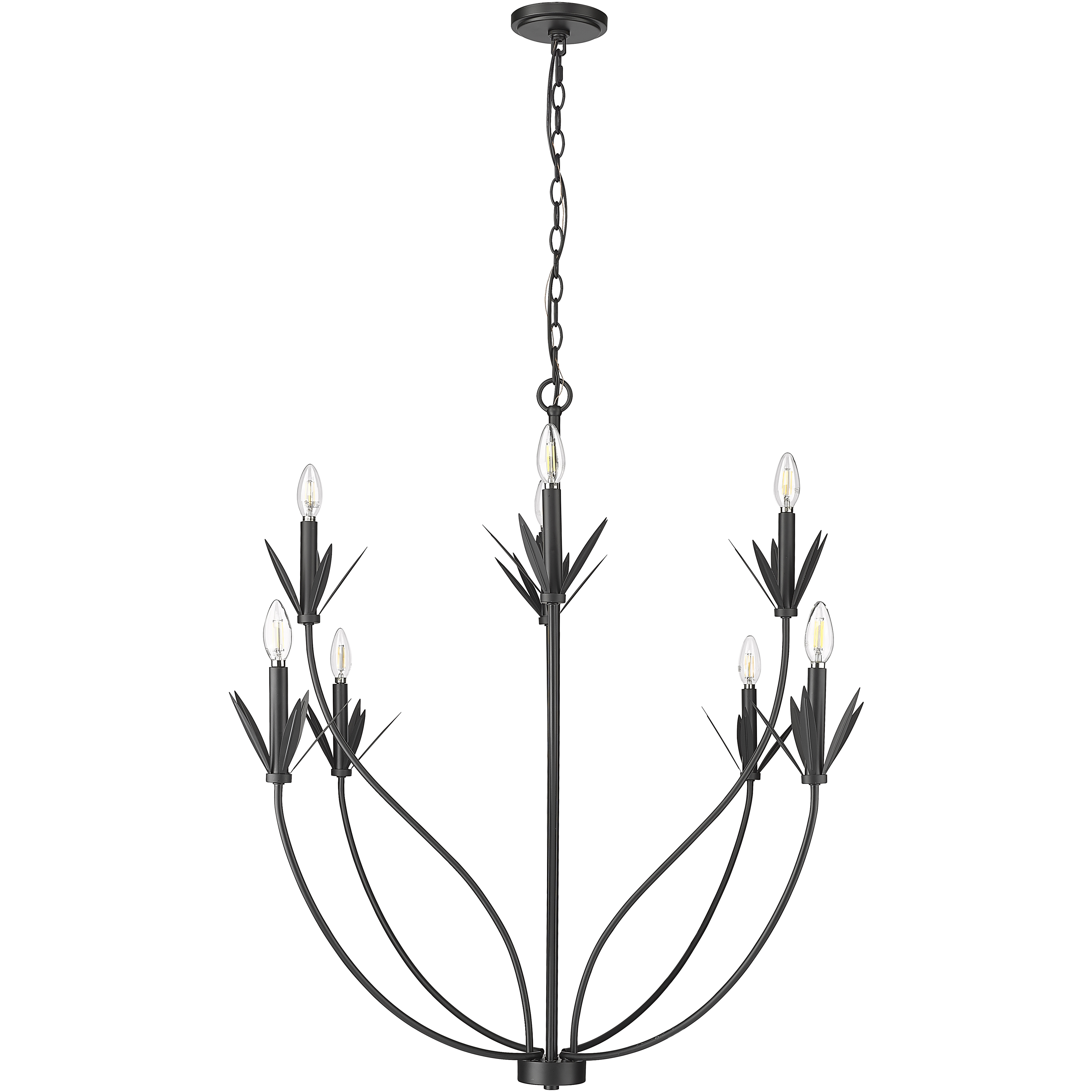 Primrose 8 Light 40.5 inch Matte Black Chandelier Ceiling Light